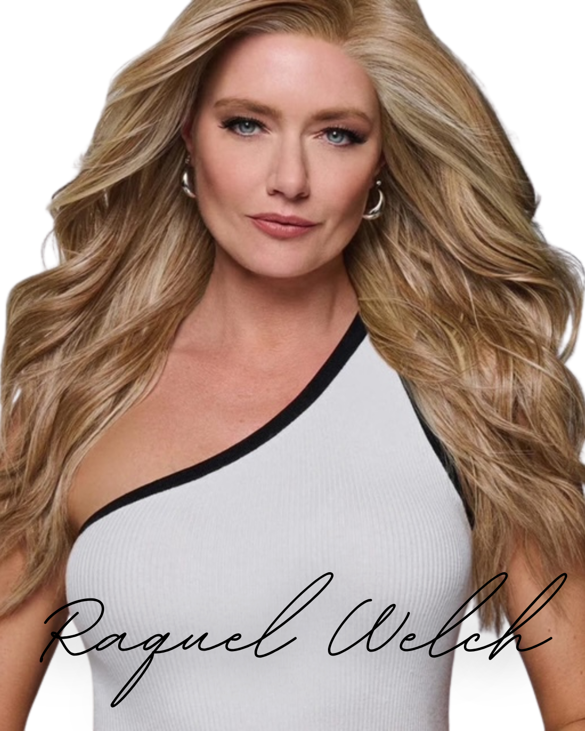 Raquel Welch Wig Collection