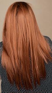 Straight Press 23 by Belletress Cafe Collection  - Cayenne with Ginger R