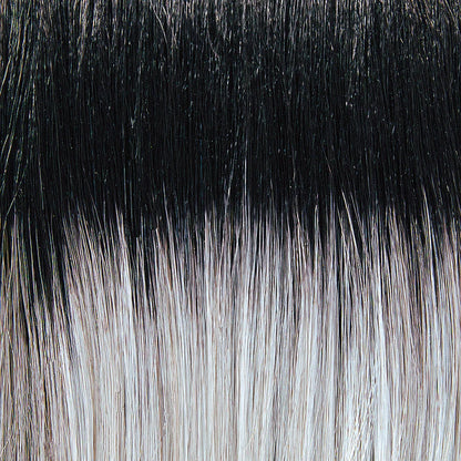 Charlotte by Tressallure NHS Luxury Synthetic Wig DCT