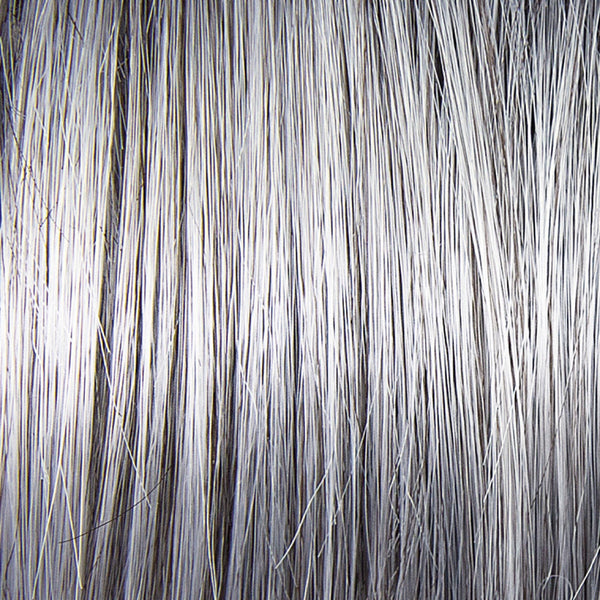Silver Shadow