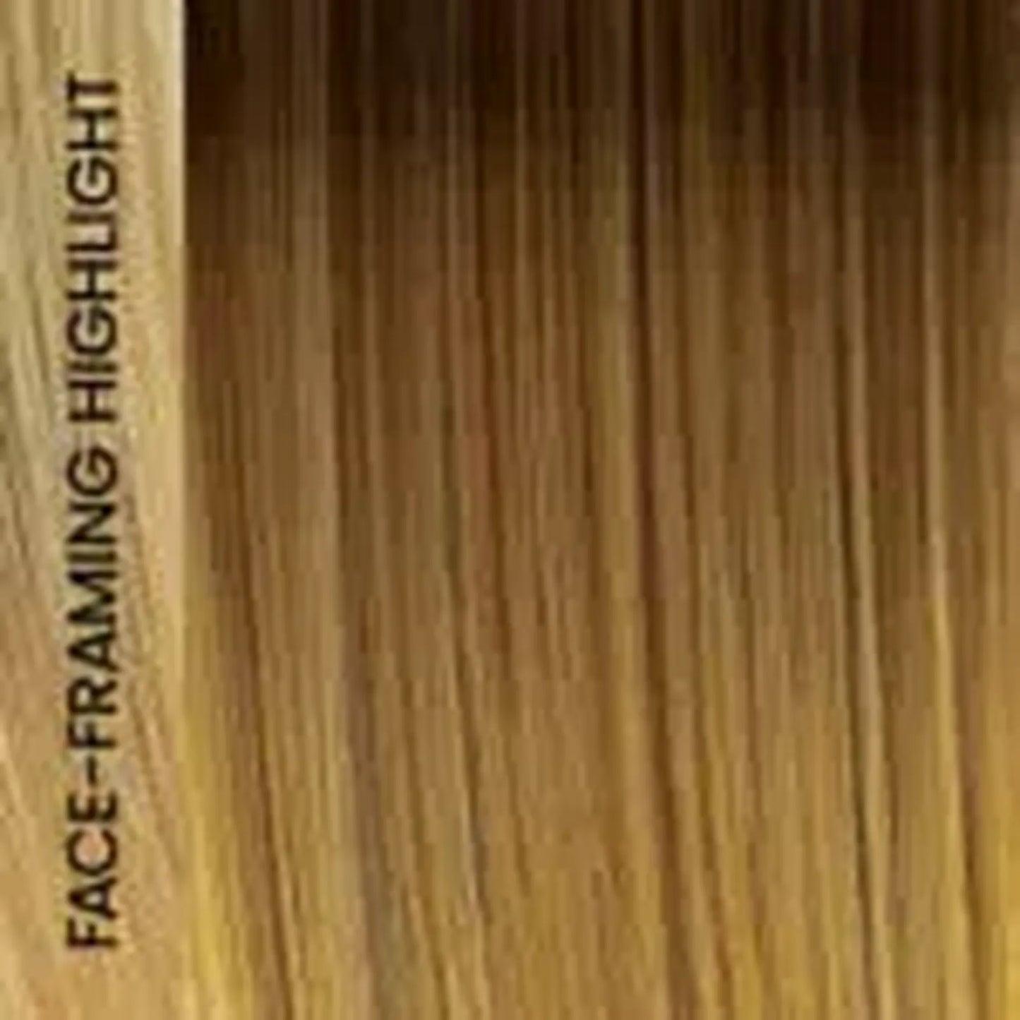 Charlotte Realistic-HS-Luxury Synthetic Wig