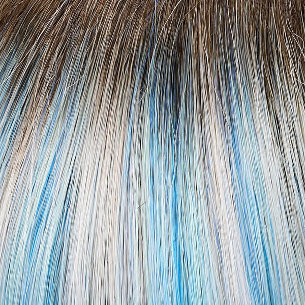 FS60/BLS6 Glacier