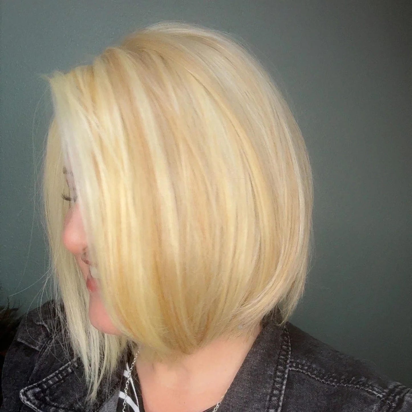 Euro Chic HS Luxury Synthetic Wig DCT