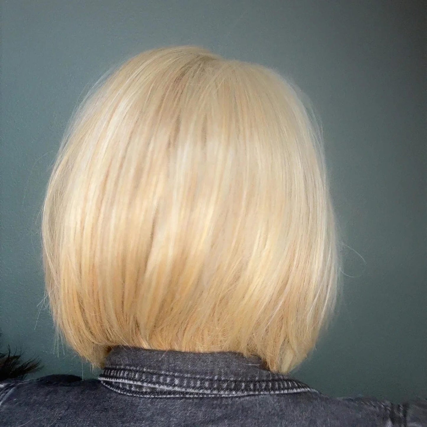 Euro Chic HS Luxury Synthetic Wig DCT