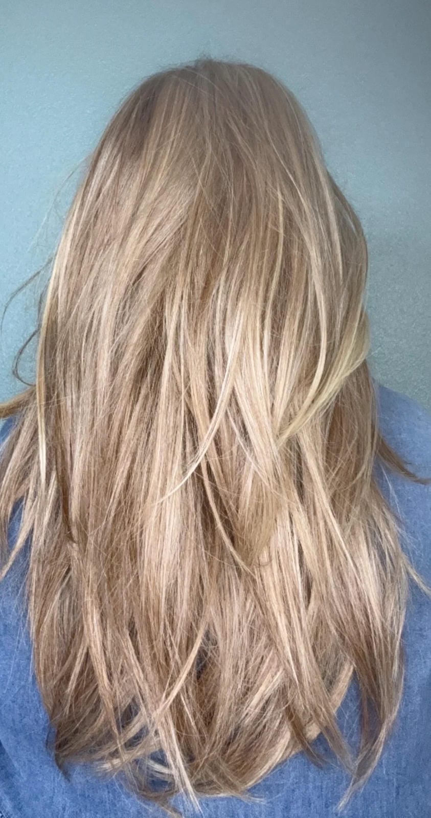 Sensational HS Luxury Synthetic Wig DCT