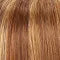 HOLLIE by Jon Renau| Hand-Tied| Heat Resistant, Lace Front, Monofilament