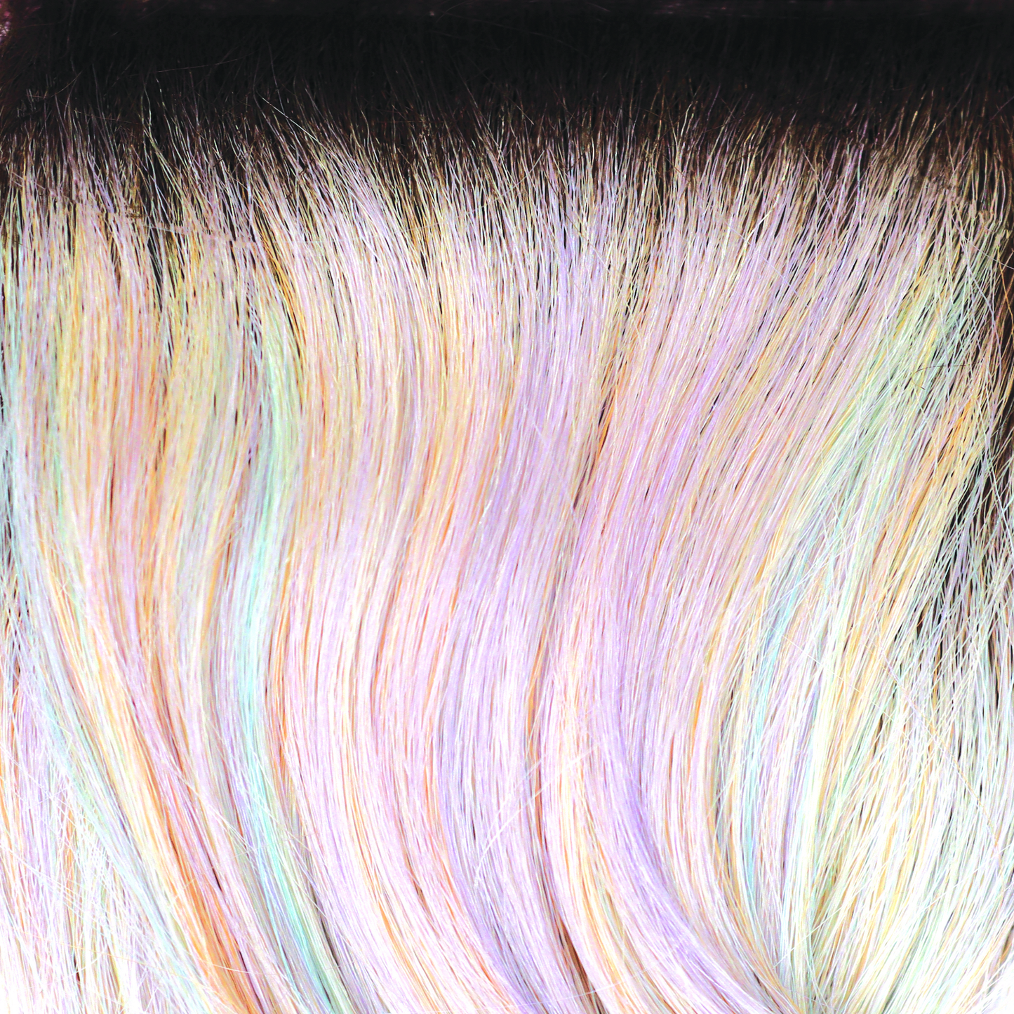 Wren Wig - 2401   ROP Hi Fashion Collection