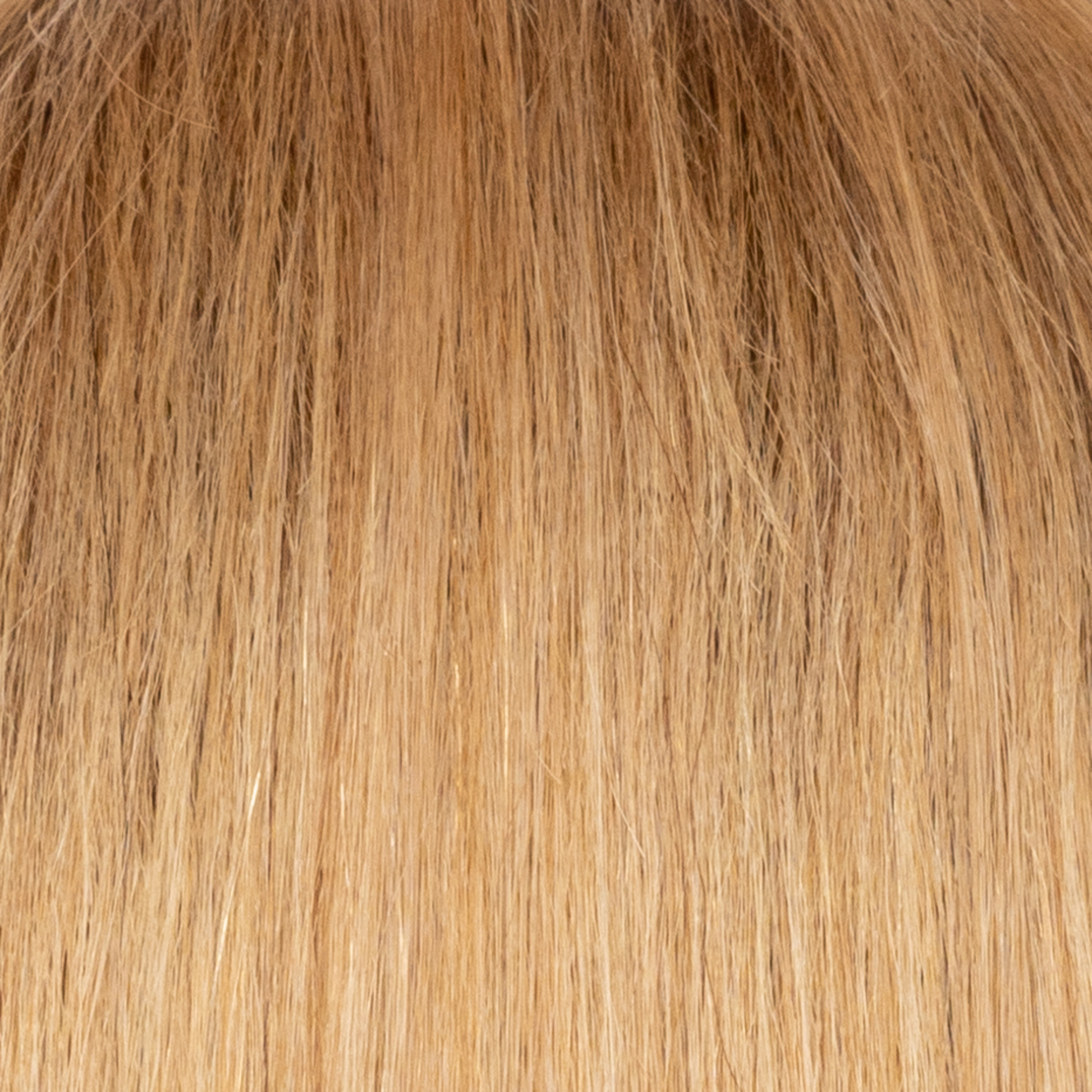 Sandy Blond - A soft, natural looking blond with beight and light ash undertones. This shade sits between warm and cool creating balance.