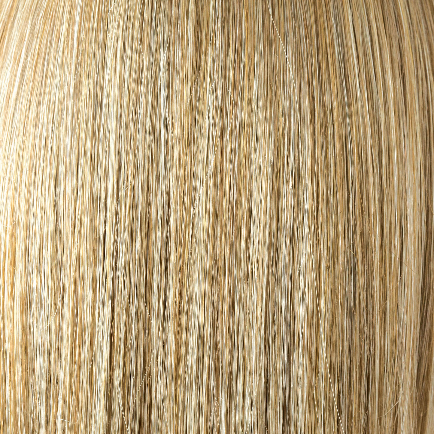 Spring Honey-T  -  A perfect blend of warm honey blond and cool platinum blond. Lighter face line & hair ends complete a dimensional appearance.