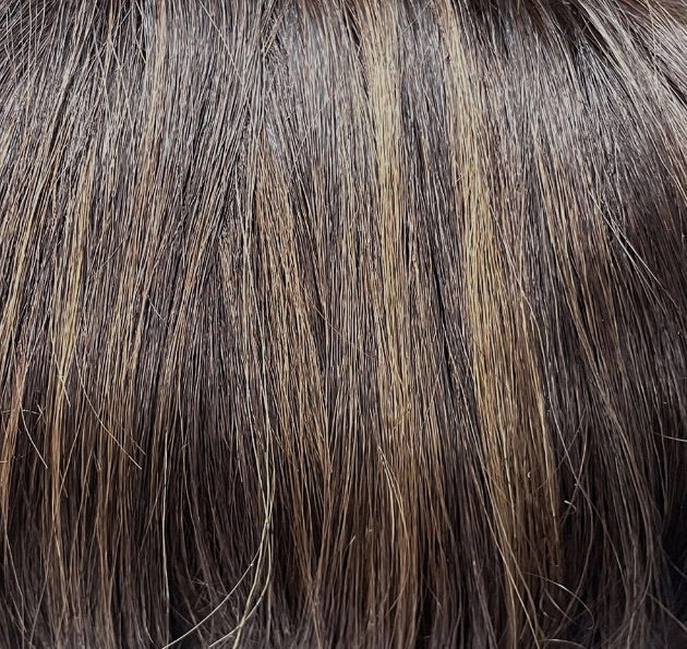 Morgan - Belletress City Collection - HS Luxury Synthetic Wig